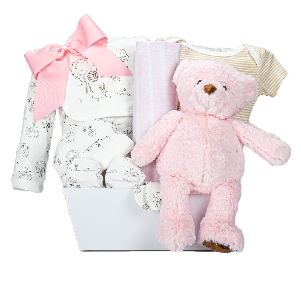 Pink Baby Girl Teddy With 5 Piece Set