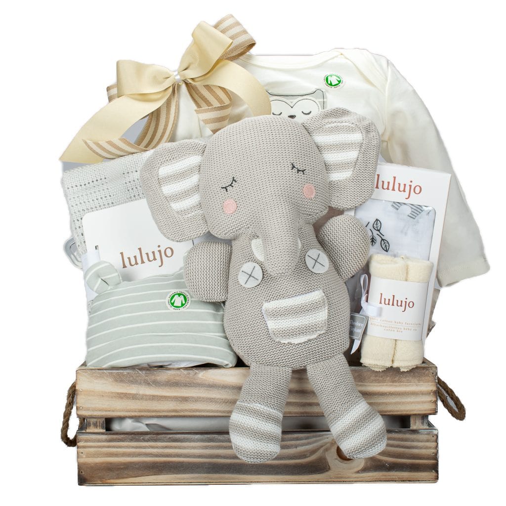 Baby Elephant Plush With Organic Face Cloth