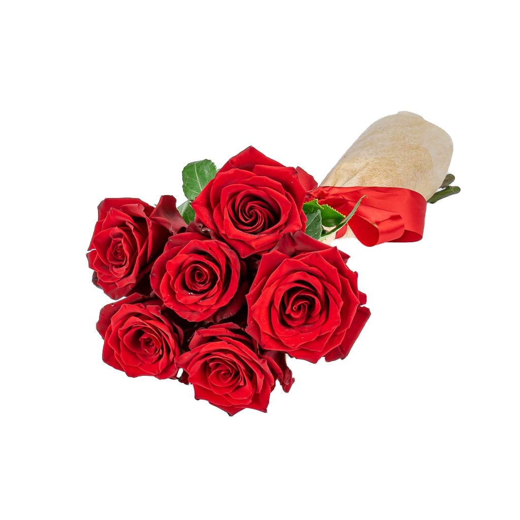 6 Red Rose Delivery