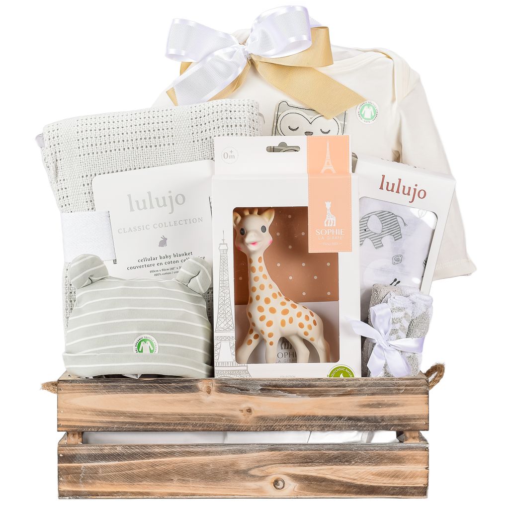 Baby Wooden Crate Gift With Organic Onesie, Hat, Knit Blanket And Sophie The Girafe Teether