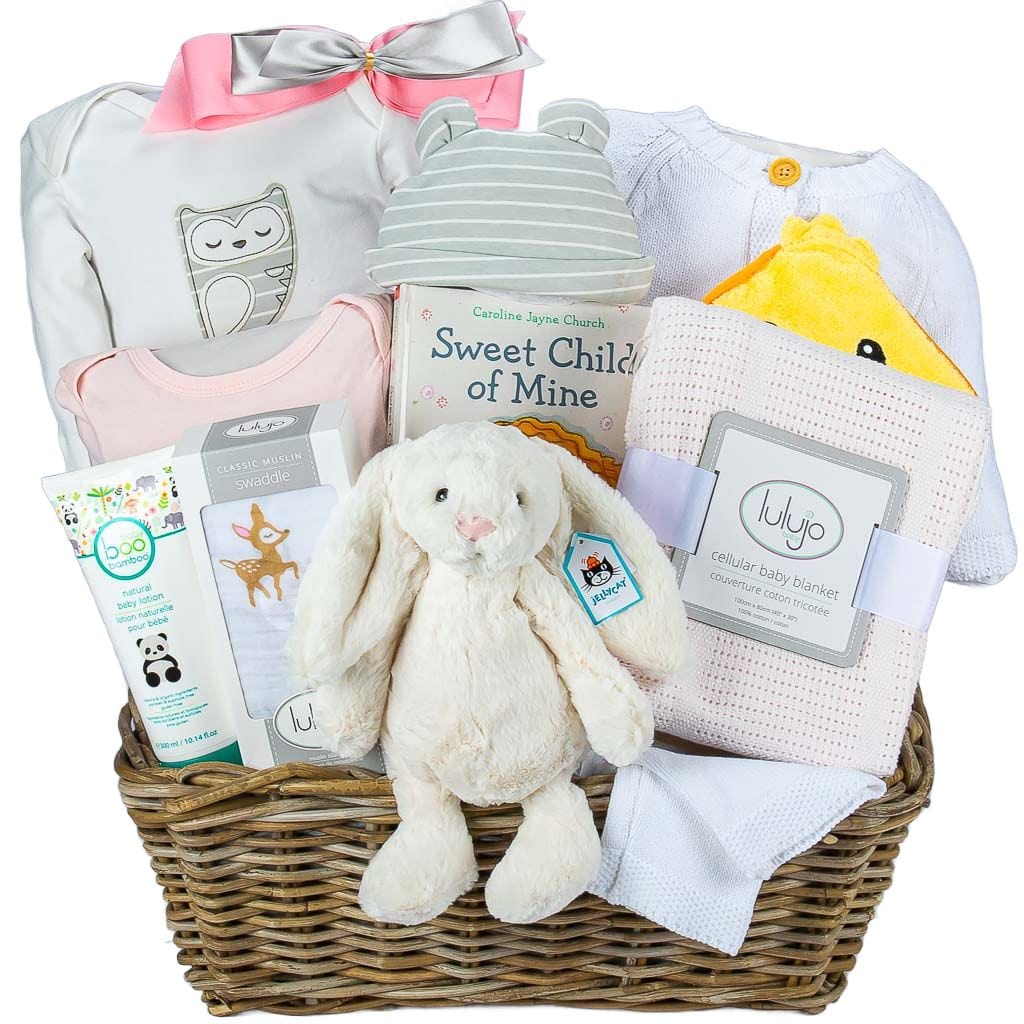 Elegant Luxury Baby Girl Gift Basket Delivery