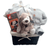 Best Friend Baby Basket