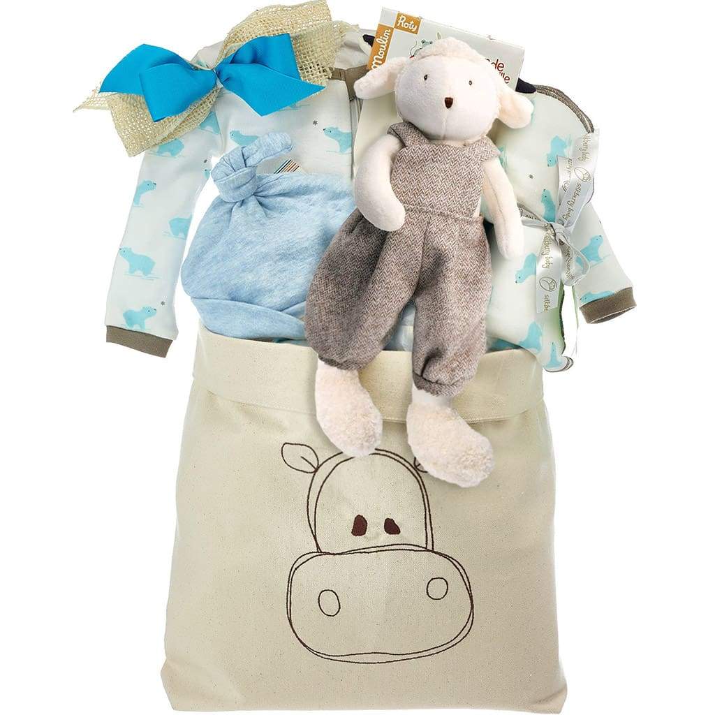 Organic Baby Boy Gift Basket