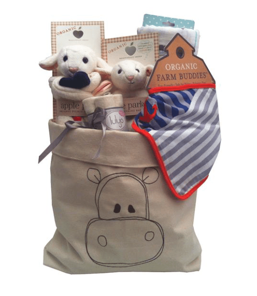 Organic Baby Gift Basket