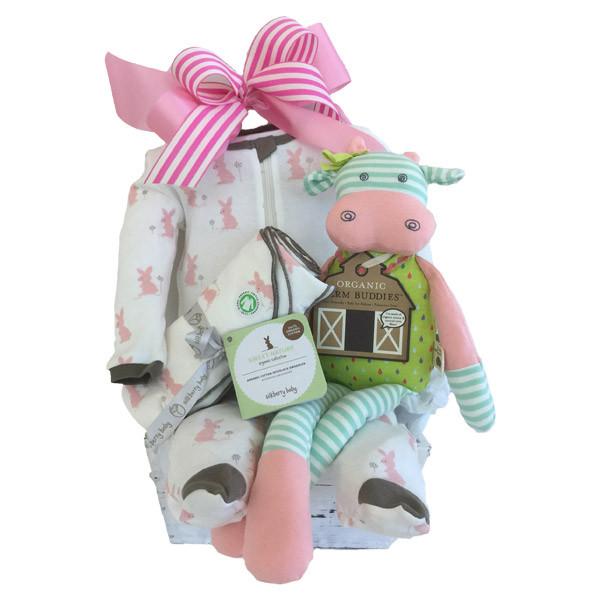 Organic Baby Girl Gift Basket 
