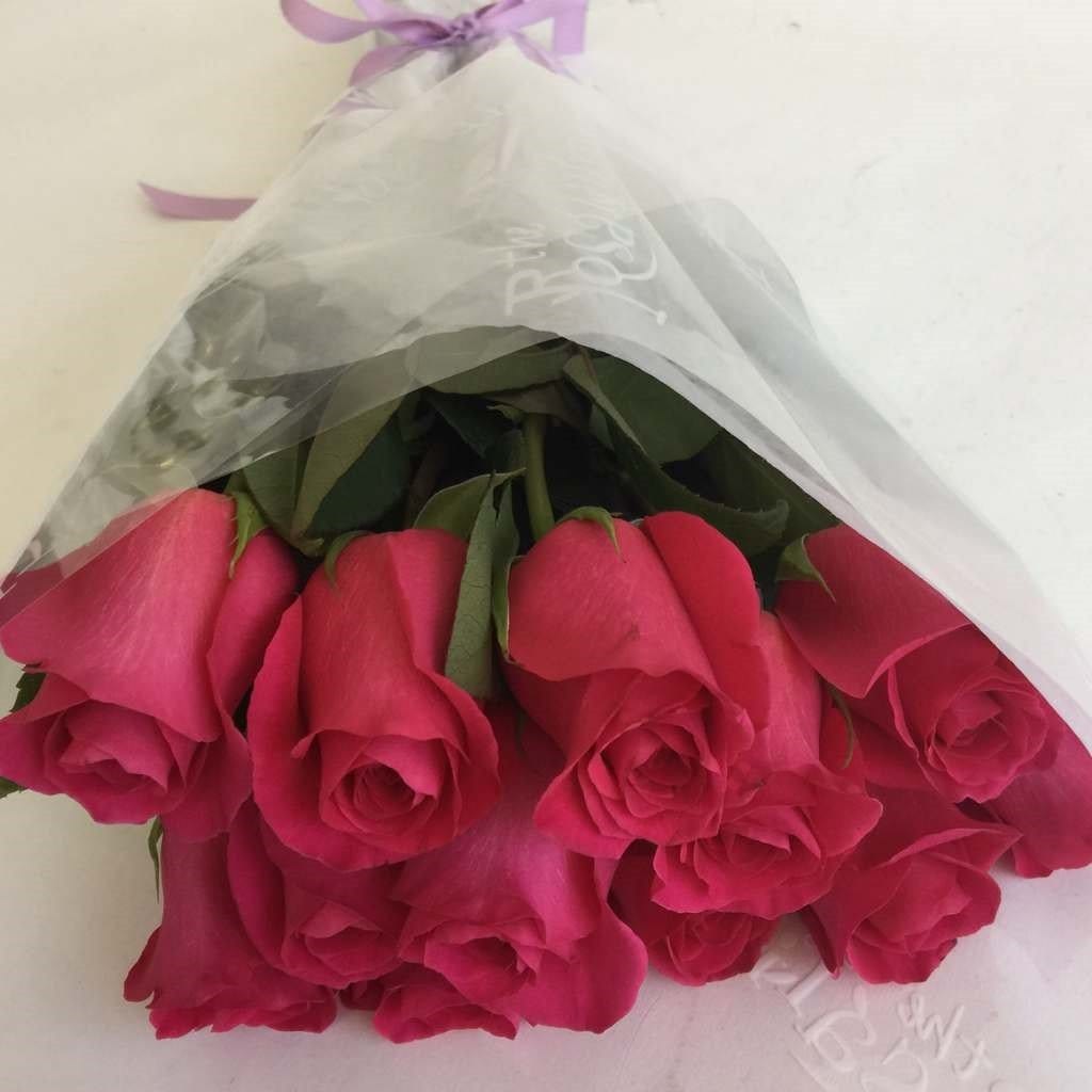 12 Pink Long Roses