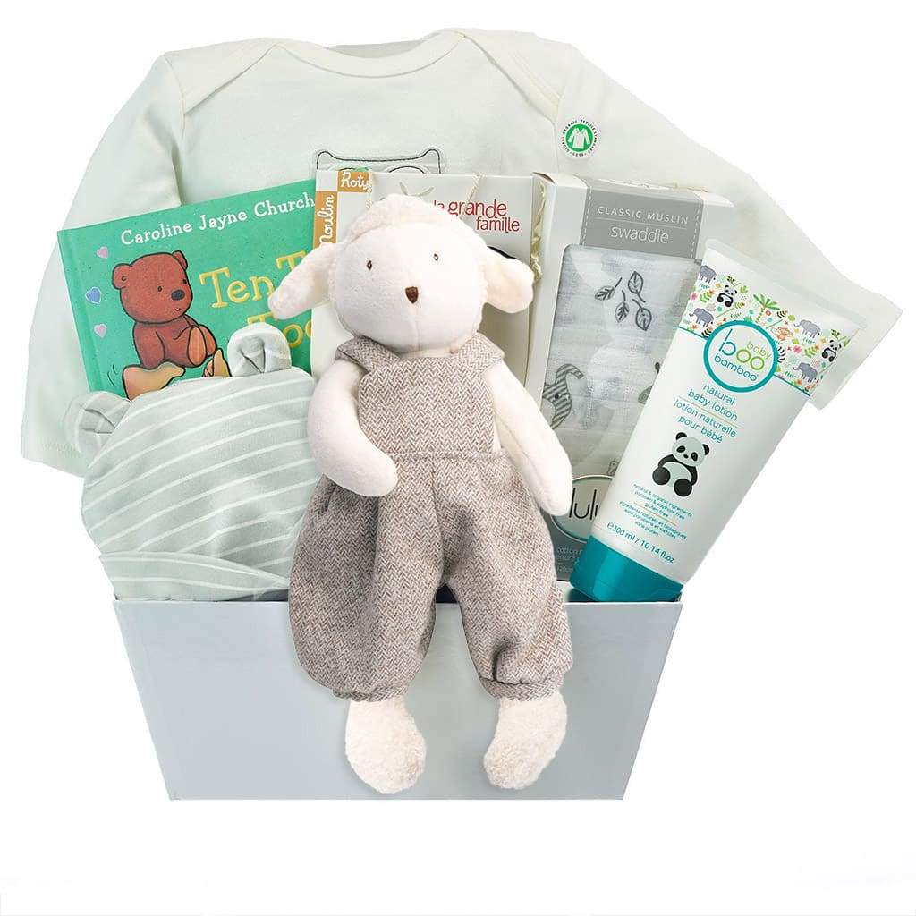 Premium Baby Boy Gift Basket