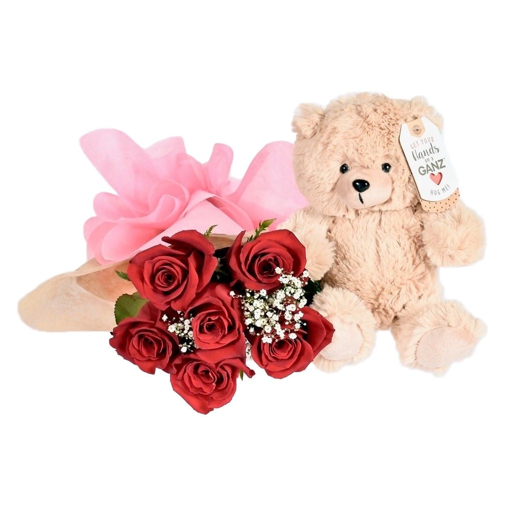 Beautiful roses and plush gift