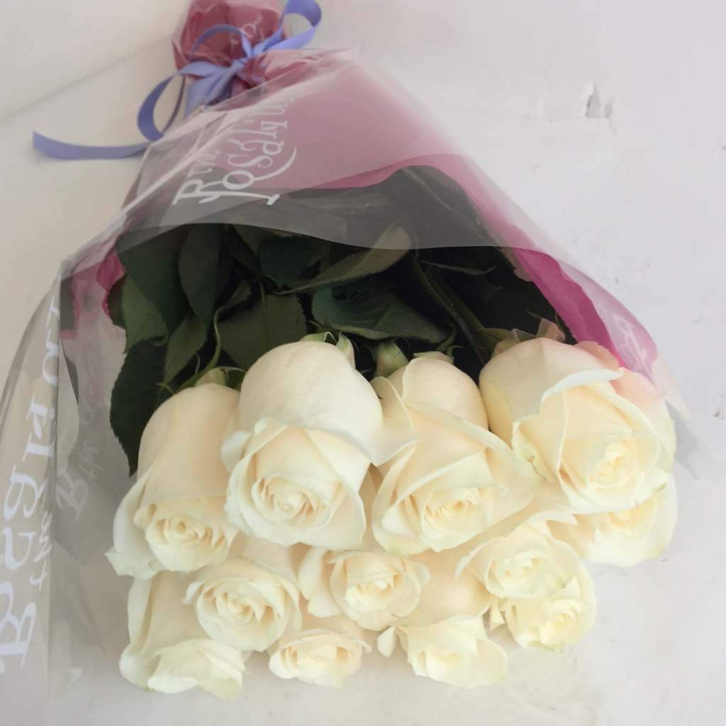 12 White Long Stem Roses